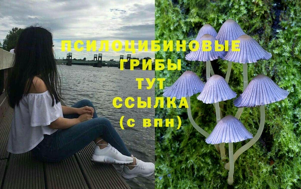 ешки Абинск