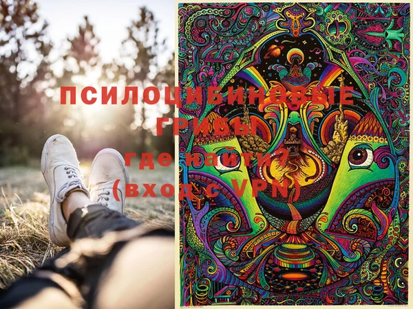 ешки Абинск
