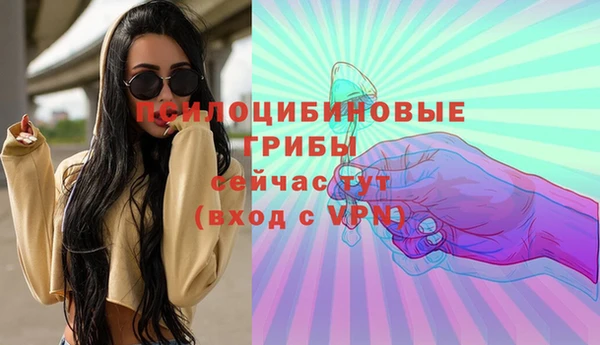 ешки Абинск