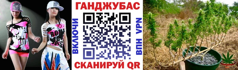 Бошки Шишки MAZAR  Тайга 